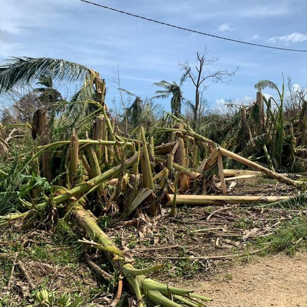 UN releases 2.5 mdd to help Vanuatu after cyclone
