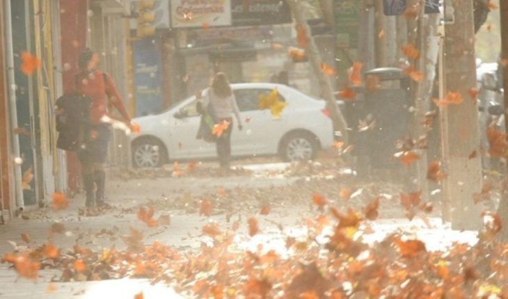 Alerta por vientos fuertes en la Ciudad de Buenos Aires y Provincia