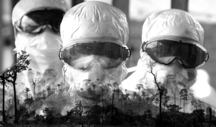 Deforestación y pandemias: ¿somos los humanos los culpables del coronavirus?