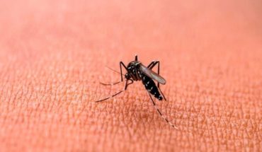 Dengue en CABA: Casi 7000 casos desde que comenzó el año