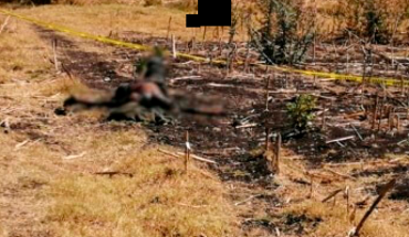 Encuentran un cuerpo putrefacto en predio de la ciudad de Zamora, Michoacán