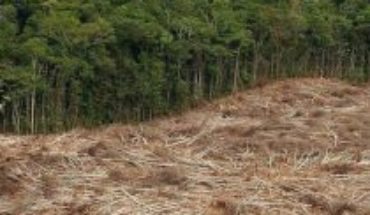FAO: los bosques siguen desapareciendo, aunque más lentamente