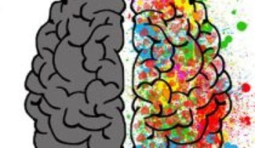 Neurociencias: reorganización neural, un cerebro incompleto se reordena