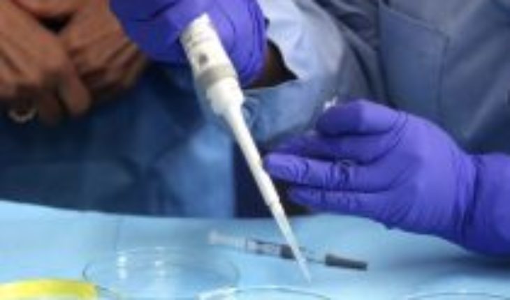 Red de laboratorios públicos llega a su capacidad máxima: RM manda a examinar test PCR a regiones
