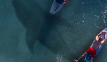 Surfista rompe la cuarentena de Covid-19 y lo mata un tiburón
