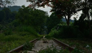 Suspenden obras de Tren Maya en municipios de Chiapas por COVID-19