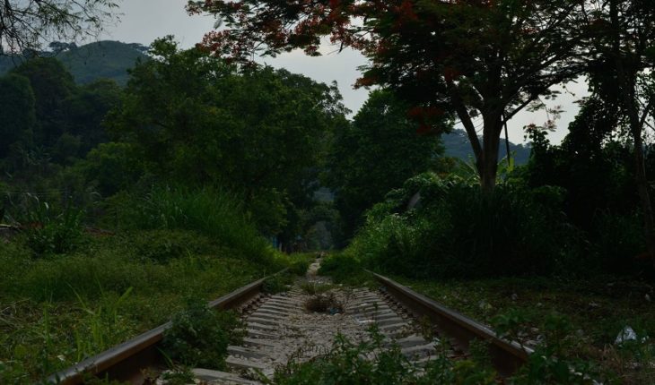 Suspenden obras de Tren Maya en municipios de Chiapas por COVID-19