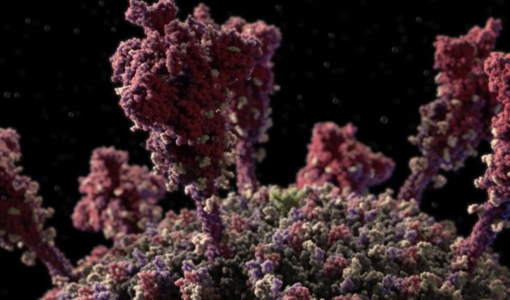 VIDEO: Un detallado modelo 3D del coronavirus