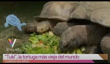 Video: La tortuga más vieja del mundo tiene 100 años | Vivalavi