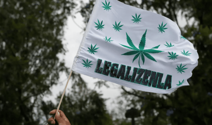 translated from Spanish: How will the pro-marijuana march be organized this year?