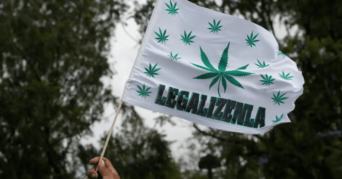 How will the pro-marijuana march be organized this year?