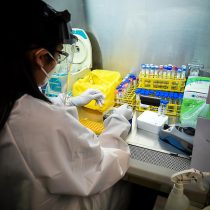 Lack of reagents: Undersecretary Zúñiga suspends authorization for new university laboratories that process PCR tests