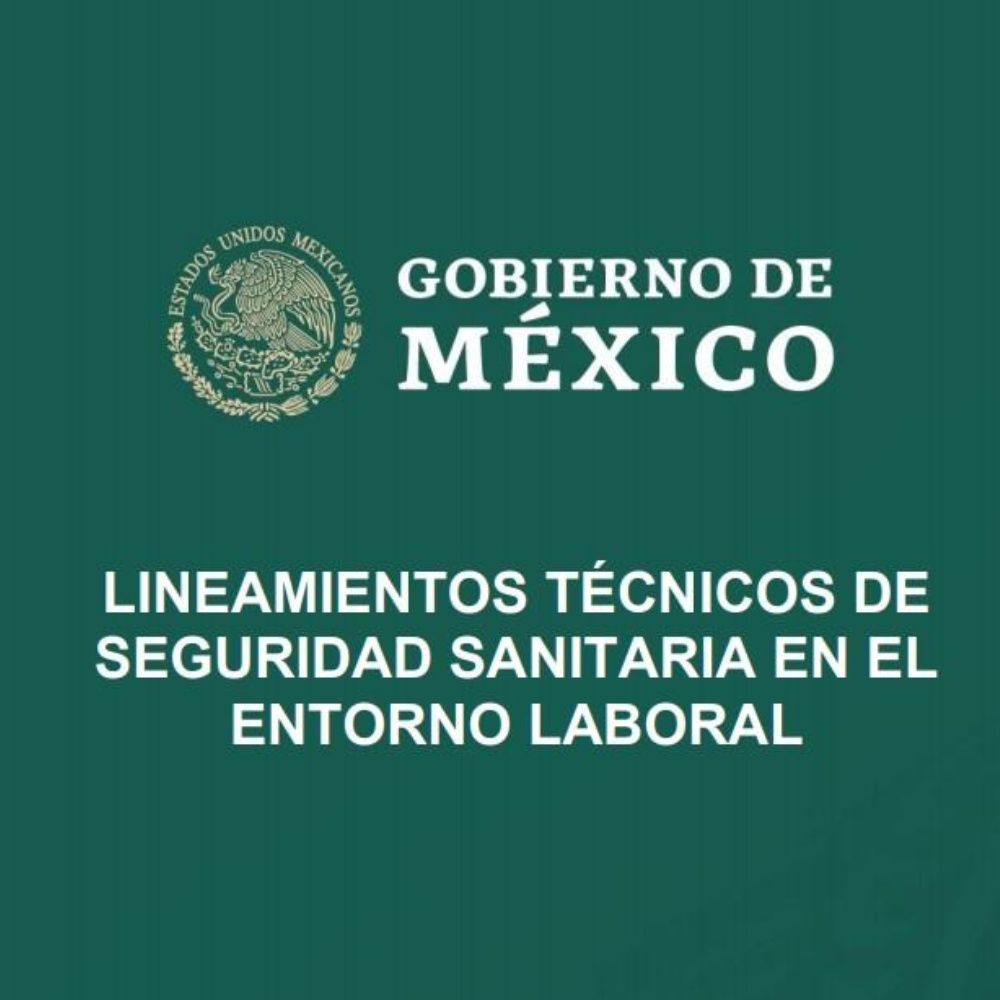 Mexico publishes health guidelines for essential industries