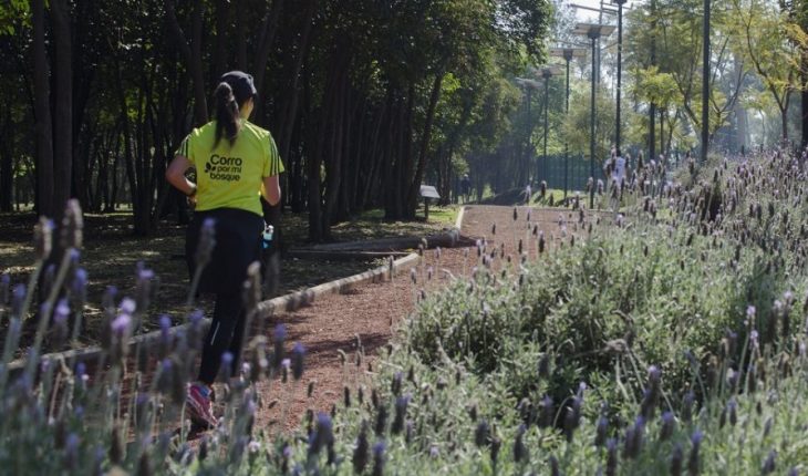 ¿Quieres ir a correr al Bosque de Chapultepec? Estas son las nuevas reglas