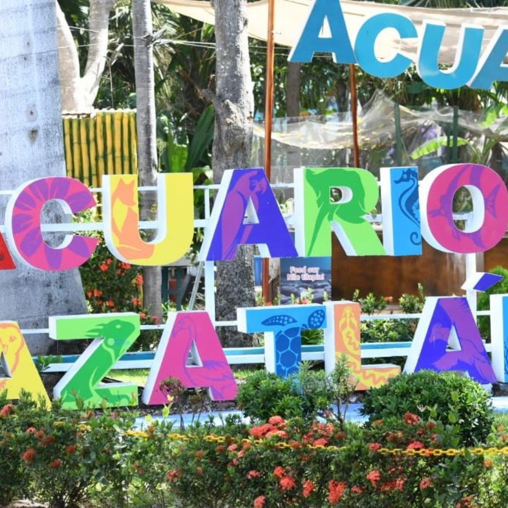 Acuario Mazatlán podría abrir sus puertas el 2 de julio
