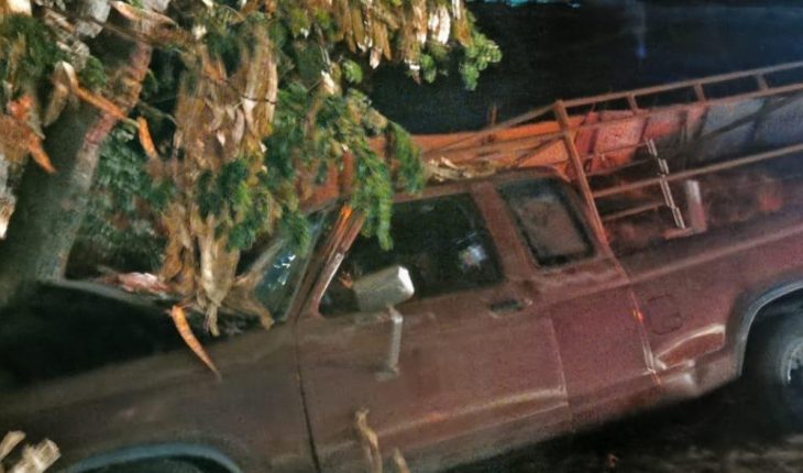 Auto sale del camino y choca contra árbol en Aguaruto