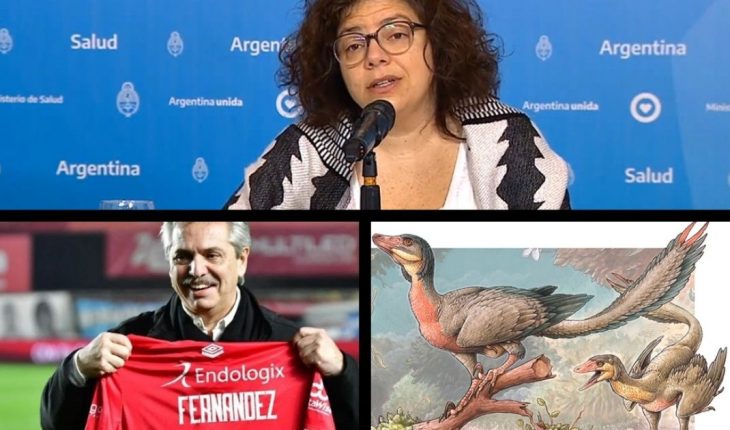 Contagios récord y 656 muertos por coronavirus; Alberto sobre la vuelta del fútbol; Día del Periodista; descubren un nuevo dinosaurio en la Patagonia y más…