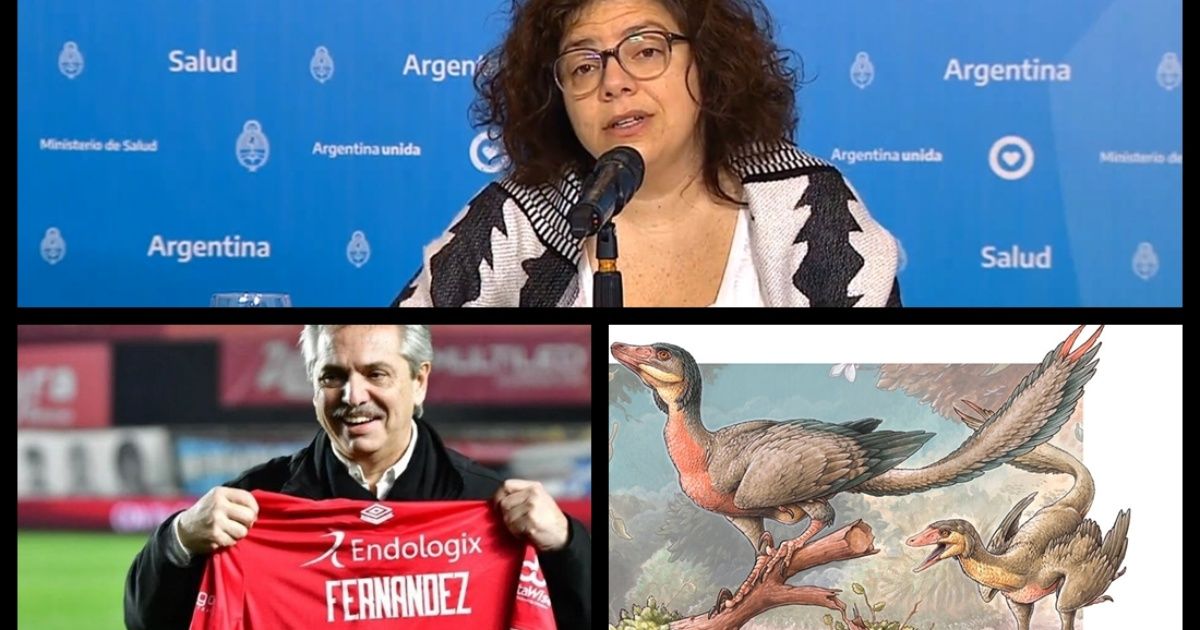 Contagios récord y 656 muertos por coronavirus; Alberto sobre la vuelta del fútbol; Día del Periodista; descubren un nuevo dinosaurio en la Patagonia y más...