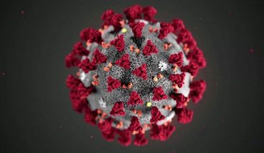 Coronavirus: registraron 840 nuevos casos y son 21.037 en total