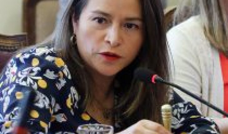 Diputada Joanna Pérez (DC) destaca acuerdos en Comisión Mixta por servicios básicos: “lo relevante es que quede zanjado por ley para que no exista espacio para su no cumplimiento”