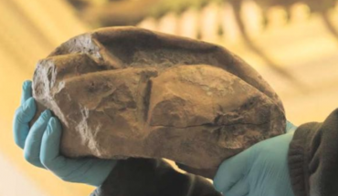 Hallazgo: huevo encontrado en la Antártica fue de un reptil marino de la época de los dinosaurios
