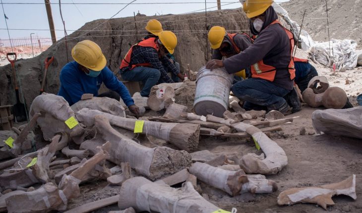 Juez ordena dar prioridad a restos arqueológicos hallados en Santa Lucía
