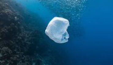 Llaman a los países a sumarse a la lucha contra la contaminación plástica en los océanos y alcanzar un acuerdo global