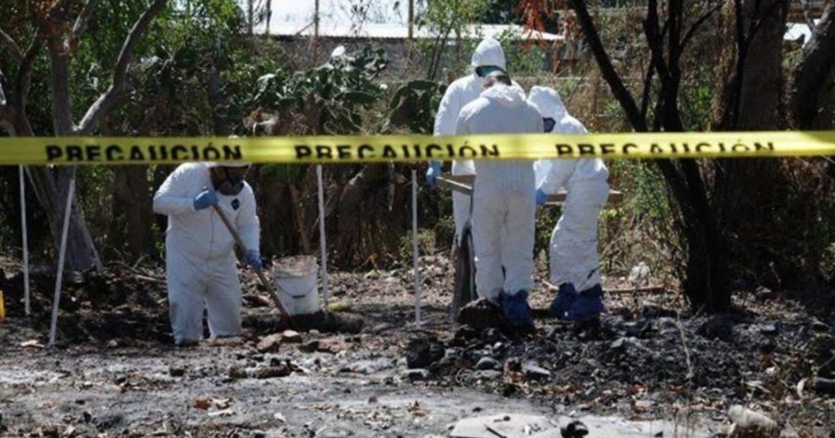 México: encuentran tres fosas cladestinas con 75 bolsas con restos humanos