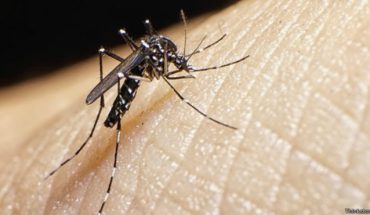 Michoacán, sin defunciones por dengue indicó la Secretaria de Salud
