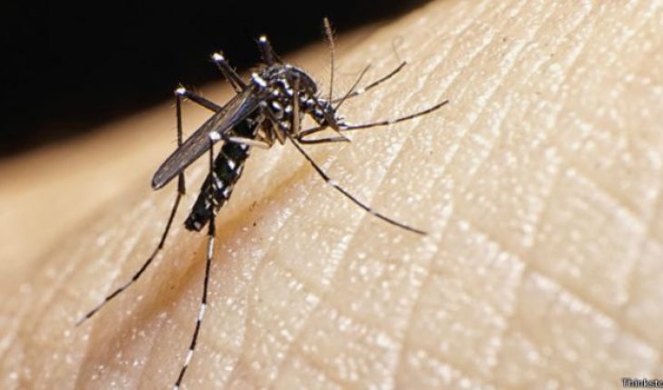 Michoacán, sin defunciones por dengue indicó la Secretaria de Salud