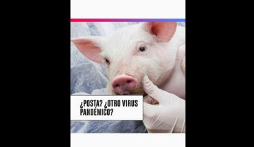 Video | Nuevo virus en China ¿Es posible otra pandemia?
