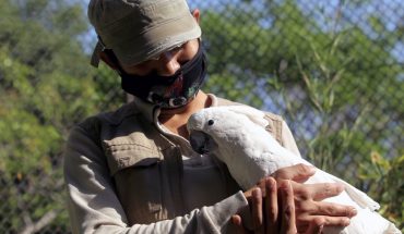 Zoo de Culiacán acoge animales abandonados a causa del COVID-19