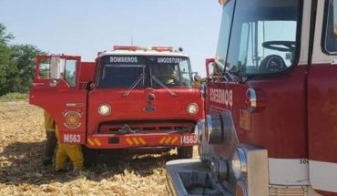 translated from Spanish: Firefighters save standing corn plots in Angostura