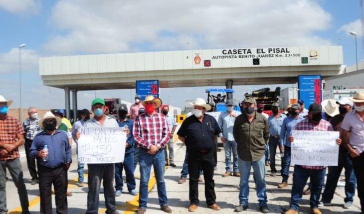 translated from Spanish: More than 2,000 producers are mobilized from El Carrizo to Mazatlan