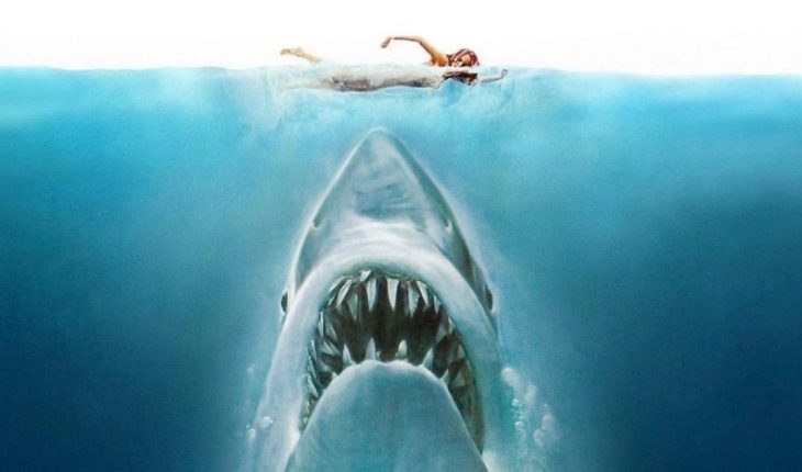 translated from Spanish: Shark: 45 years after the premiere that created a genre