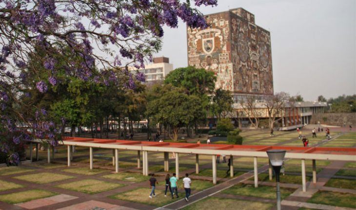 translated from Spanish: This will be the return to school in the new normal for UNAM