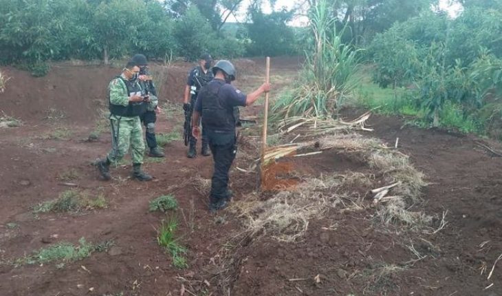 Cuerpo semienterrado fue encontrado en huerta frutal de La Resolana en Cotija, Michoacán