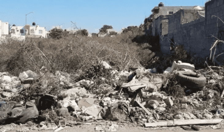 Denuncian deficiente recolección de basura en zonas de Culiacán, Sinaloa