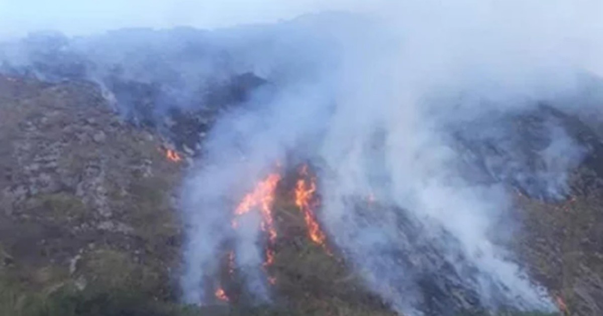 Desde hace dos semanas los bomberos combaten un incendio forestal en Orán