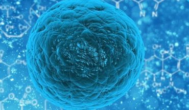 Los linfocitos generados por el resfriado común podrían servir ante COVID-19