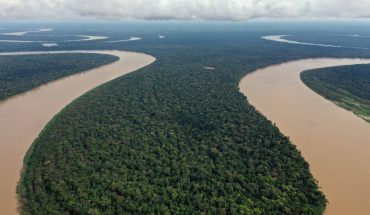 México, entre los 5 países de América Latina que perdieron bosques en 2019