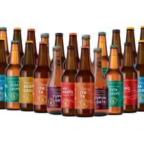Seis emprendedores nacionales se unieron para lanzar cervezas de edición limitada con nombres de ríos chilenos