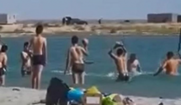 Turistas golpean con palos y rocas a una foca hasta dejarla inconsciente (Video)
