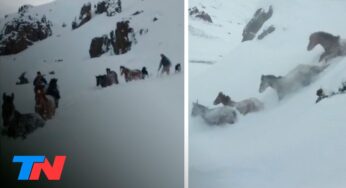 Video: Hazaña en plena Cordillera: la impactante odisea de 4 gauchos patagónicos para rescatar una tropilla
