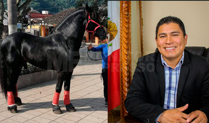 translated from Spanish: Mayor organizes Horse Raffle to get resources for public works