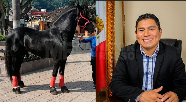 Mayor organizes Horse Raffle to get resources for public works