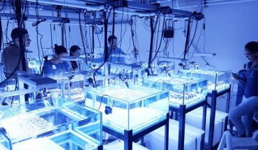 translated from Spanish: Mexico first achieves sexual reproduction of corals in laboratory