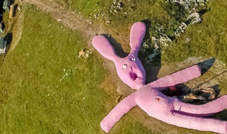 translated from Spanish: The story behind Hase the giant stuffed rabbit living on the mountain