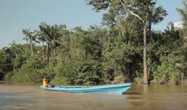 Brasil: recomiendan otorgar más derechos de propiedad indígena para proteger la selva amazónica