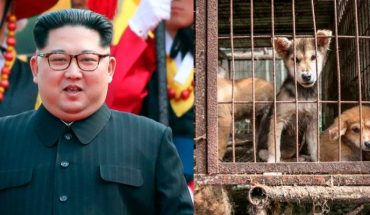 Corea del Norte ordena entregar perros de compañía a restaurantes por escacez de alimentos